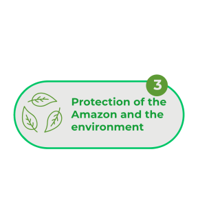Protetion of the Amazonas and Environment