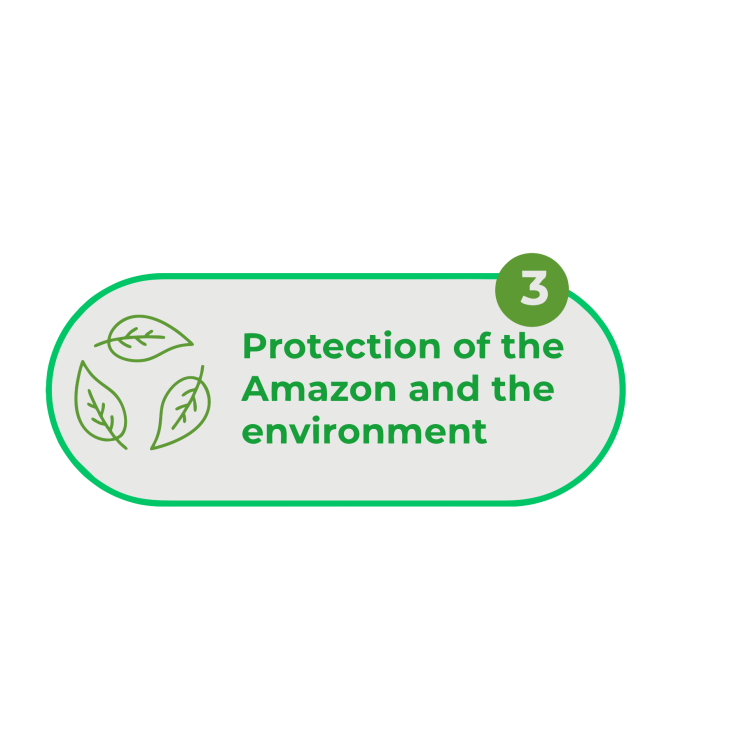 Protección del Amazonas y Medio Ambiente